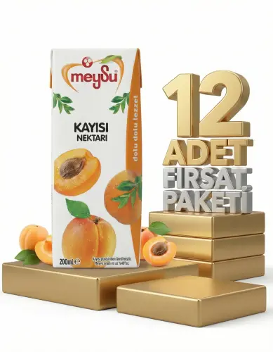 Meysu Nektar Kayısı 12x200 Ml - Meysu