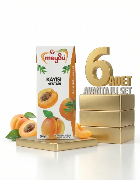 Meysu Nektar Kayısı 6x200 Ml - 1