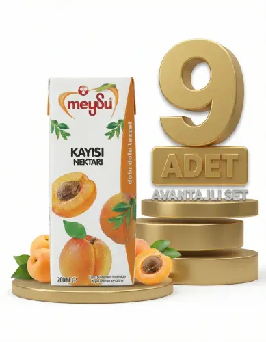 Meysu Nektar Kayısı 9x200 Ml - Meysu