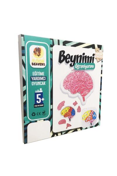 Moonbeavers Beynimi Öğreniyorum 24*24 - 3