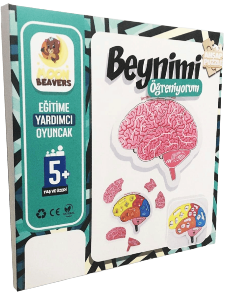 Moonbeavers Beynimi Öğreniyorum 24*24 - 1