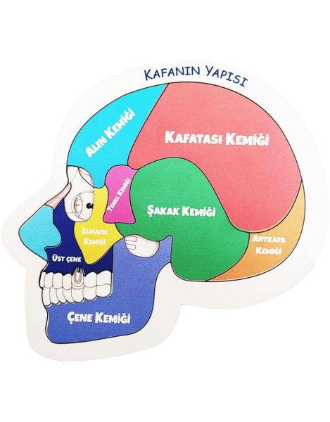 Moonbeavers Kafanın Yapısı 24*24 - 2