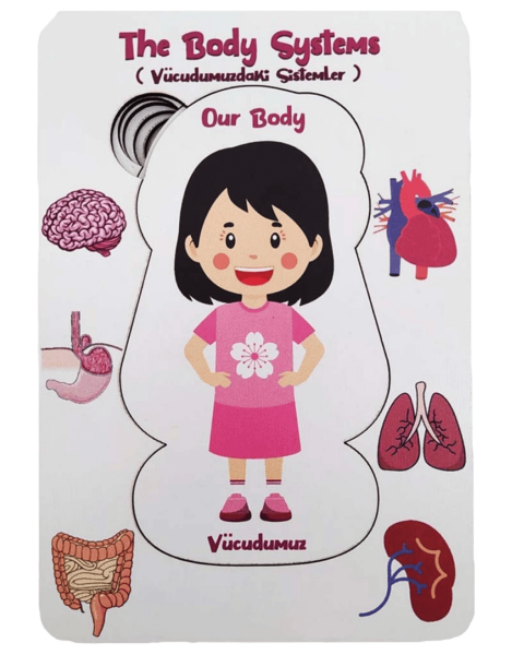 Moonbeavers Vücudumuz Sistemleri Kız 10*20 - 1