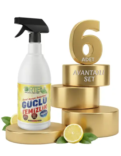 Ortem Güçlü Temizlik Aspirin 6x750 Ml - Ortem