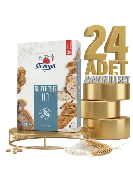 Sinangil Glutensiz Un 24x500 Gr - 1