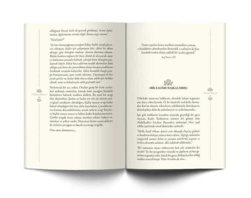 Türk Tarım Kuru Fasulye 8 mm 1 Kg - 2