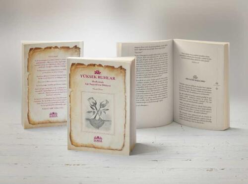 Türk Tarım Kuru Fasulye 8 mm 1 Kg - 3